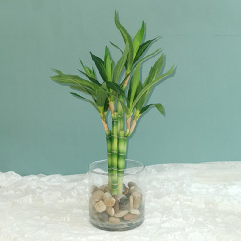 Fish Aquarium Home - Nova Planta Artificial de Bambu da