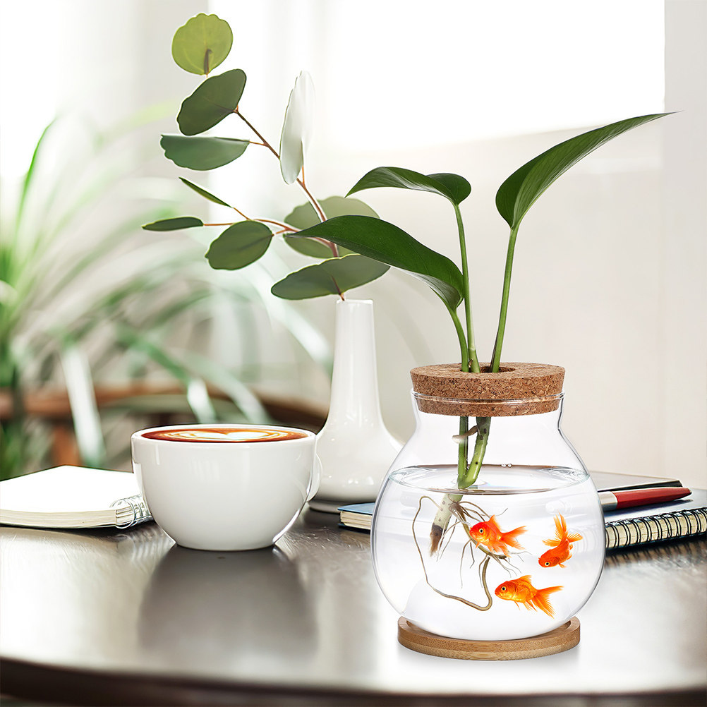 Betta Fish Tank - Aquário de mesa para peixes Betta
