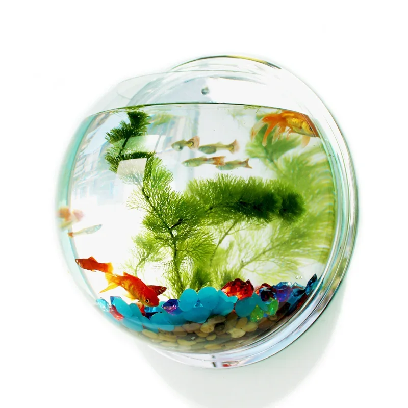 Aquarium Fish Betta - Aquário de parede em acrílico Pinsjar,