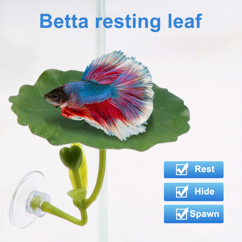 Aquarium Fish Betta - (Ce14)1/5PC Rede de Folhas Verdes para