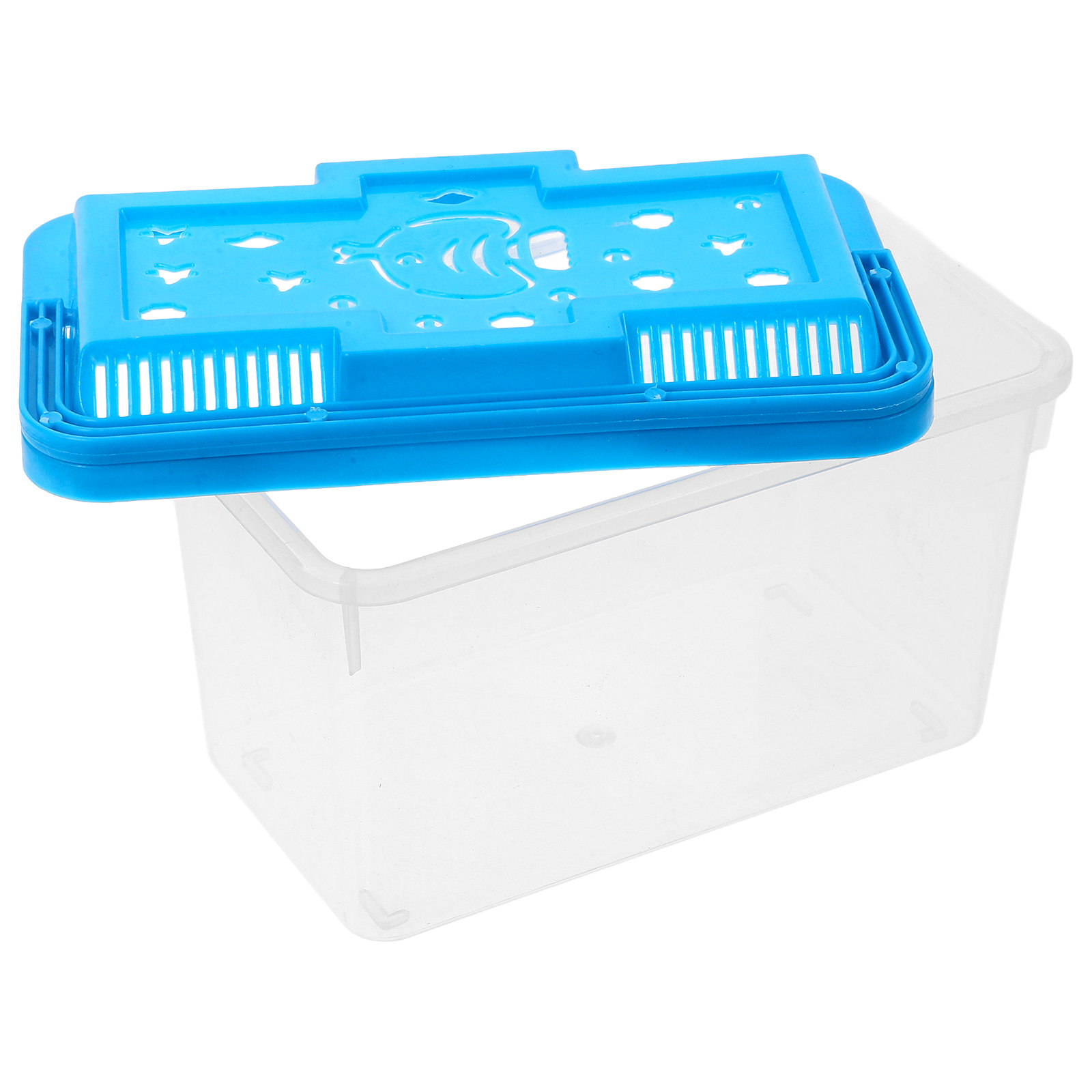 Betta Fish Tank - Aquário Transparente para Peixes, Tema Halloween