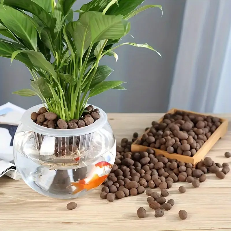 Pelotas de terracota leves e r - Aquarium Plants avaliação e preço