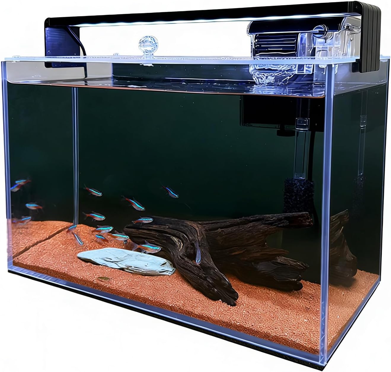 Kit de Iniciação para Aquário  - Betta Fish Tank avaliação e preço
