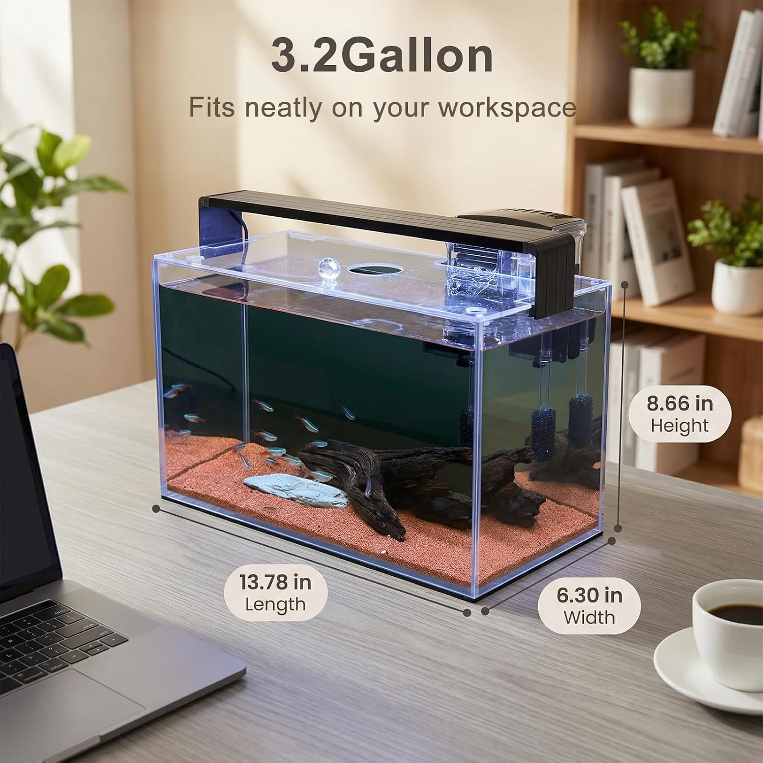 Kit de Iniciação para Aquário  - Betta Fish Tank avaliação e preço