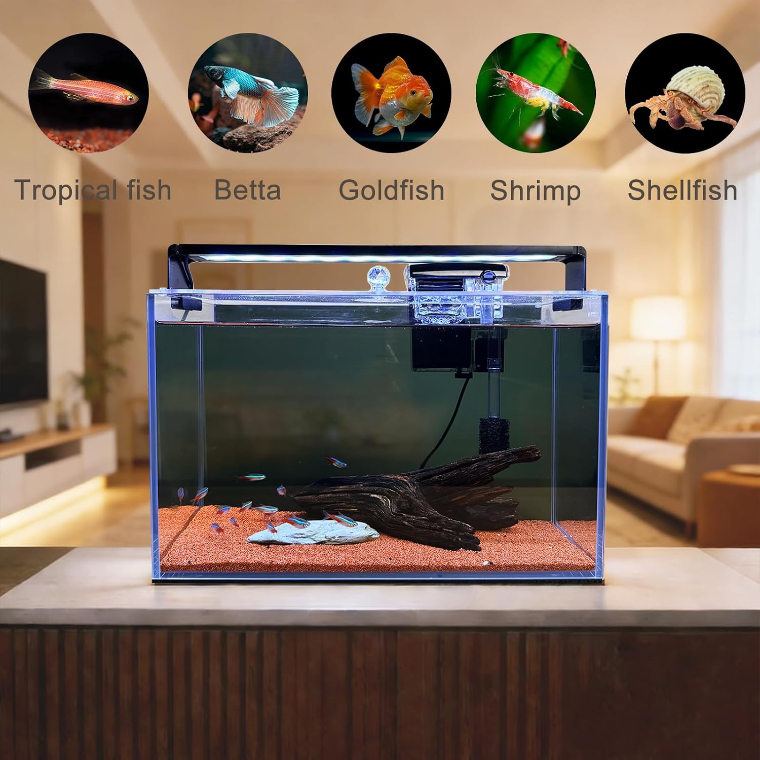 Kit de Iniciação para Aquário  - Betta Fish Tank avaliação e preço