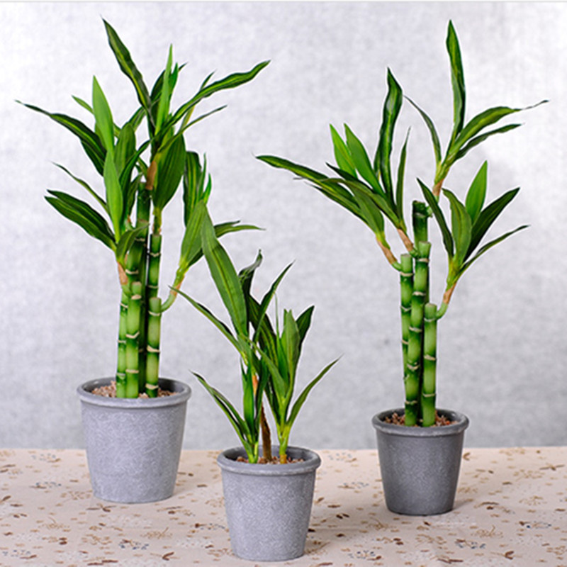 Nova Planta Artificial de Bamb - Fish Aquarium Home avaliação e preço