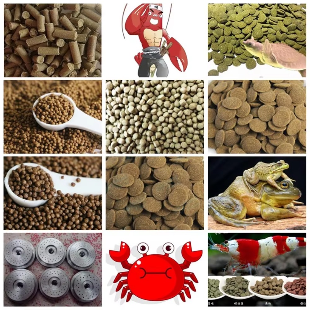 Máquina Extrusora de Pellets p - Fish Food avaliação e preço