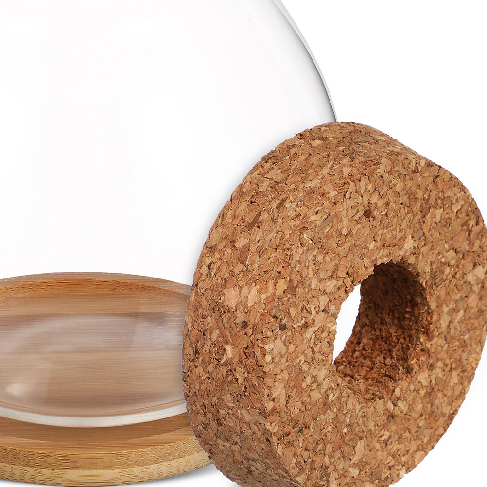 Aquário de mesa para peixes Be - Betta Fish Tank avaliação e preço