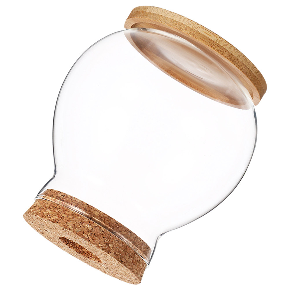 Aquário de mesa para peixes Be - Betta Fish Tank avaliação e preço
