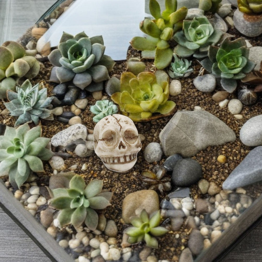 20 peças de decoração de cavei - Aquarium Decor avaliação e preço