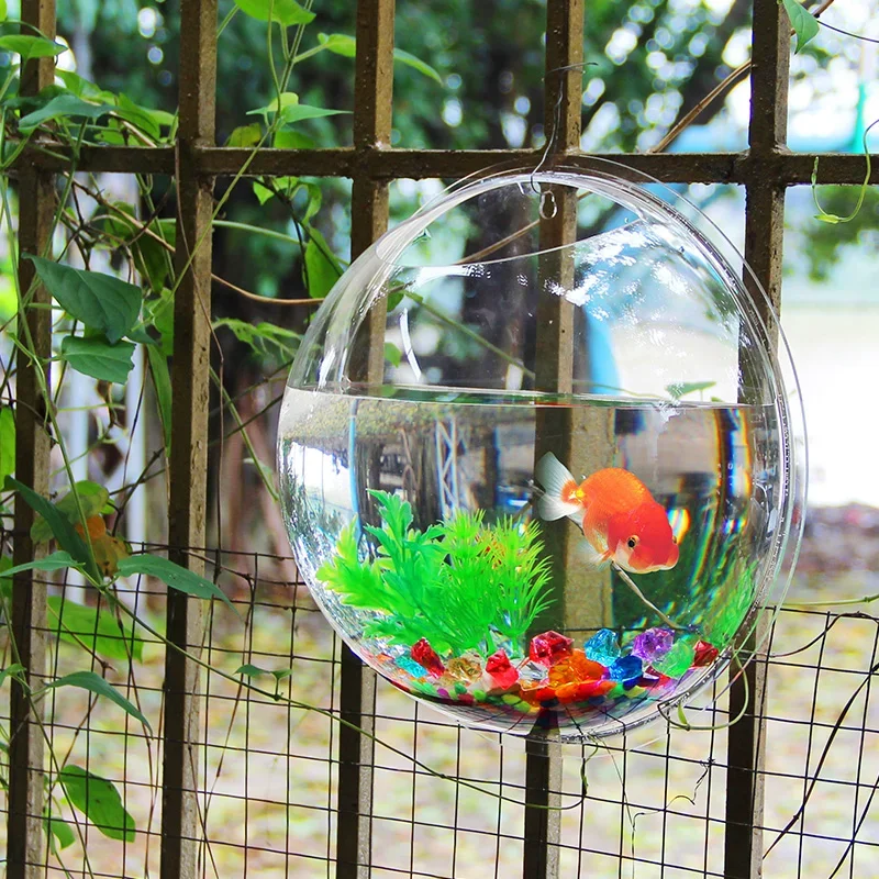 Aquário de parede em acrílico  - Aquarium Fish Betta avaliação e preço