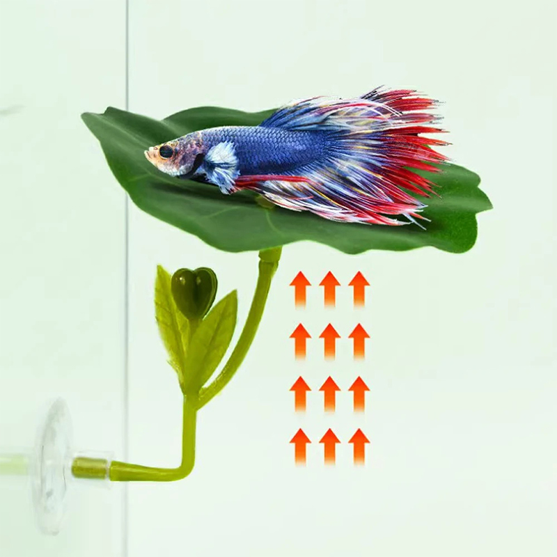 (Ce14)1/5PC Rede de Folhas Ver - Aquarium Fish Betta avaliação e preço