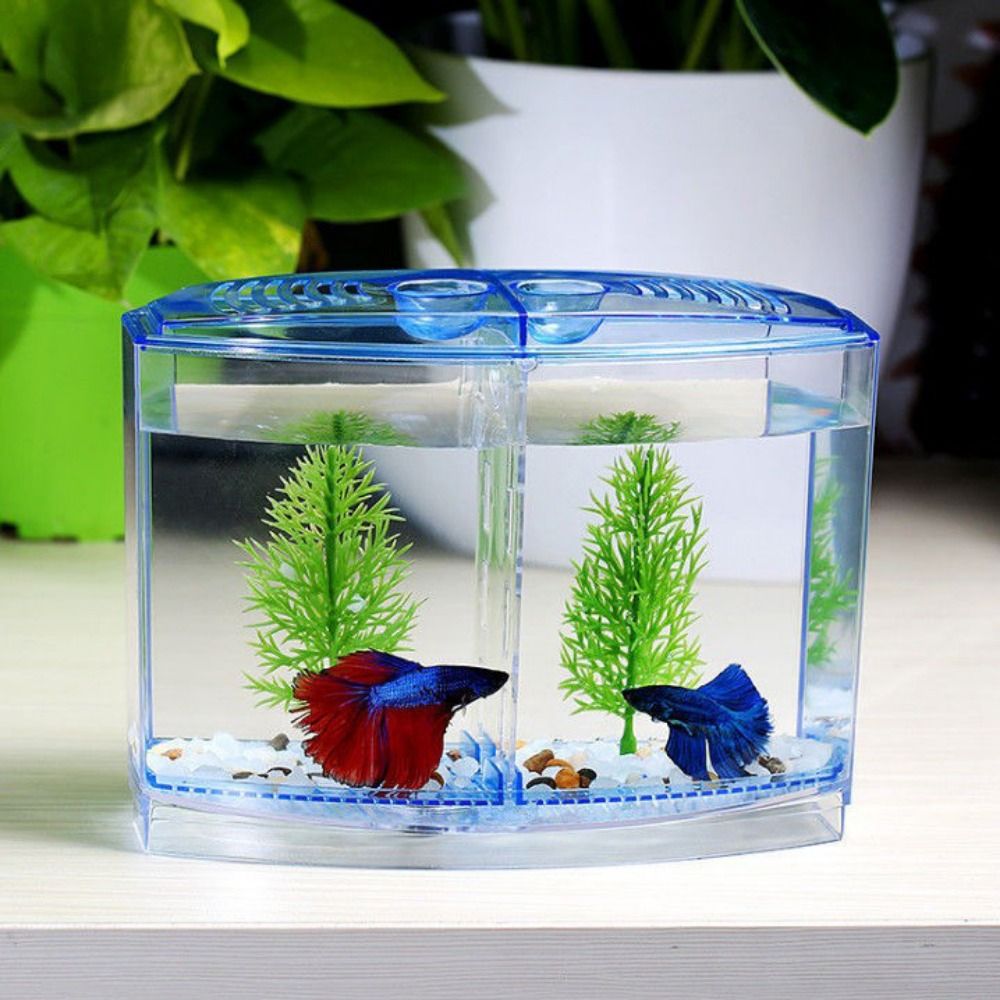 Transparente Betta Fish Tank,  - Betta Fish Tank avaliação e preço