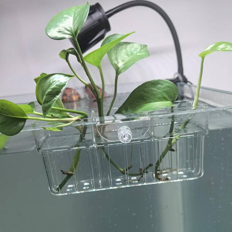 Cesto para Plantas Hidropônica - Aquarium Plants avaliação e preço