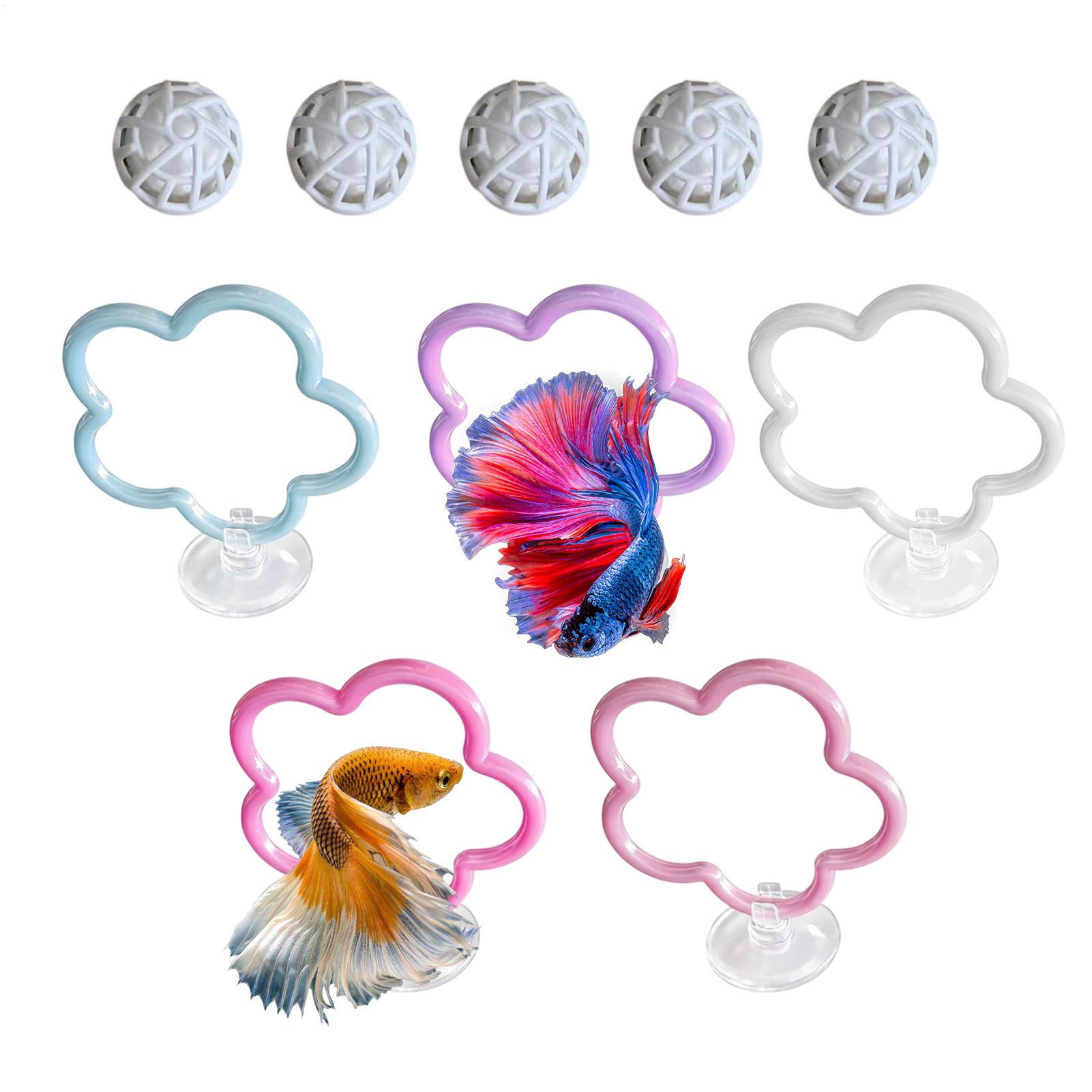 Brinquedos para Peixe Betta, 5 - Aquarium Fish Betta avaliação e preço
