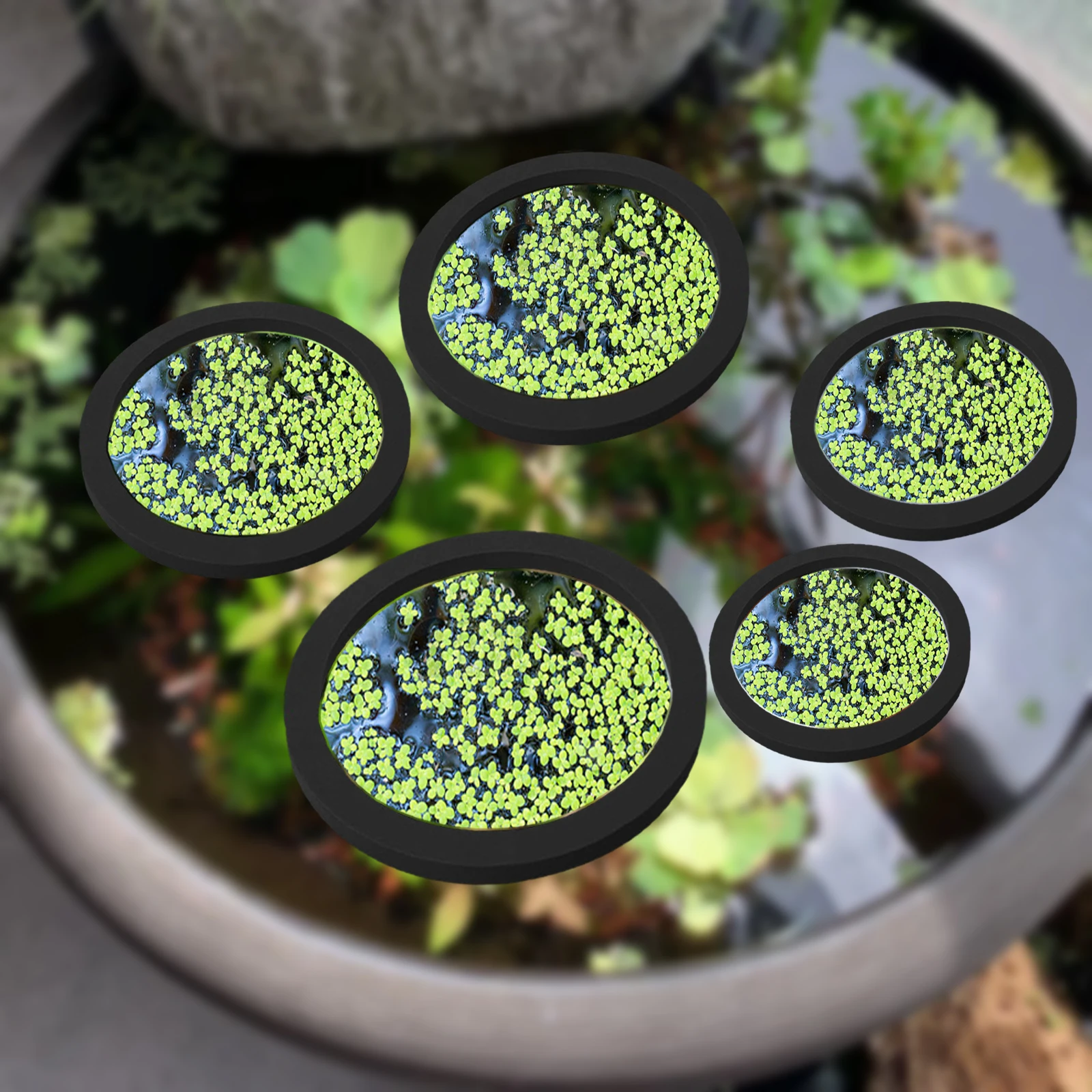 5 pçs eva anel de alimentação  - Aquarium Plants avaliação e preço