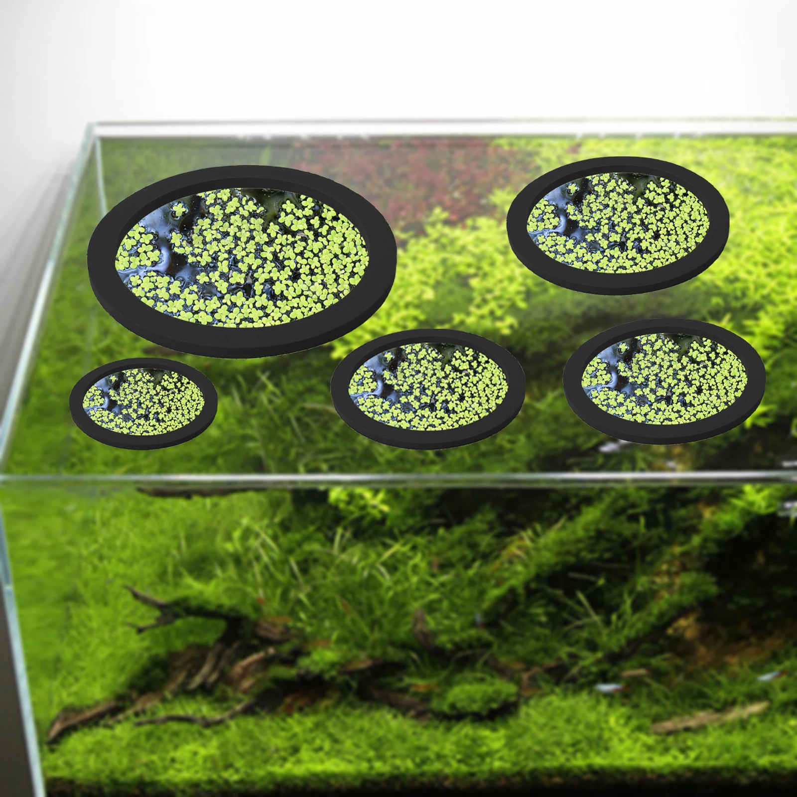 5 pçs eva anel de alimentação  - Aquarium Plants avaliação e preço
