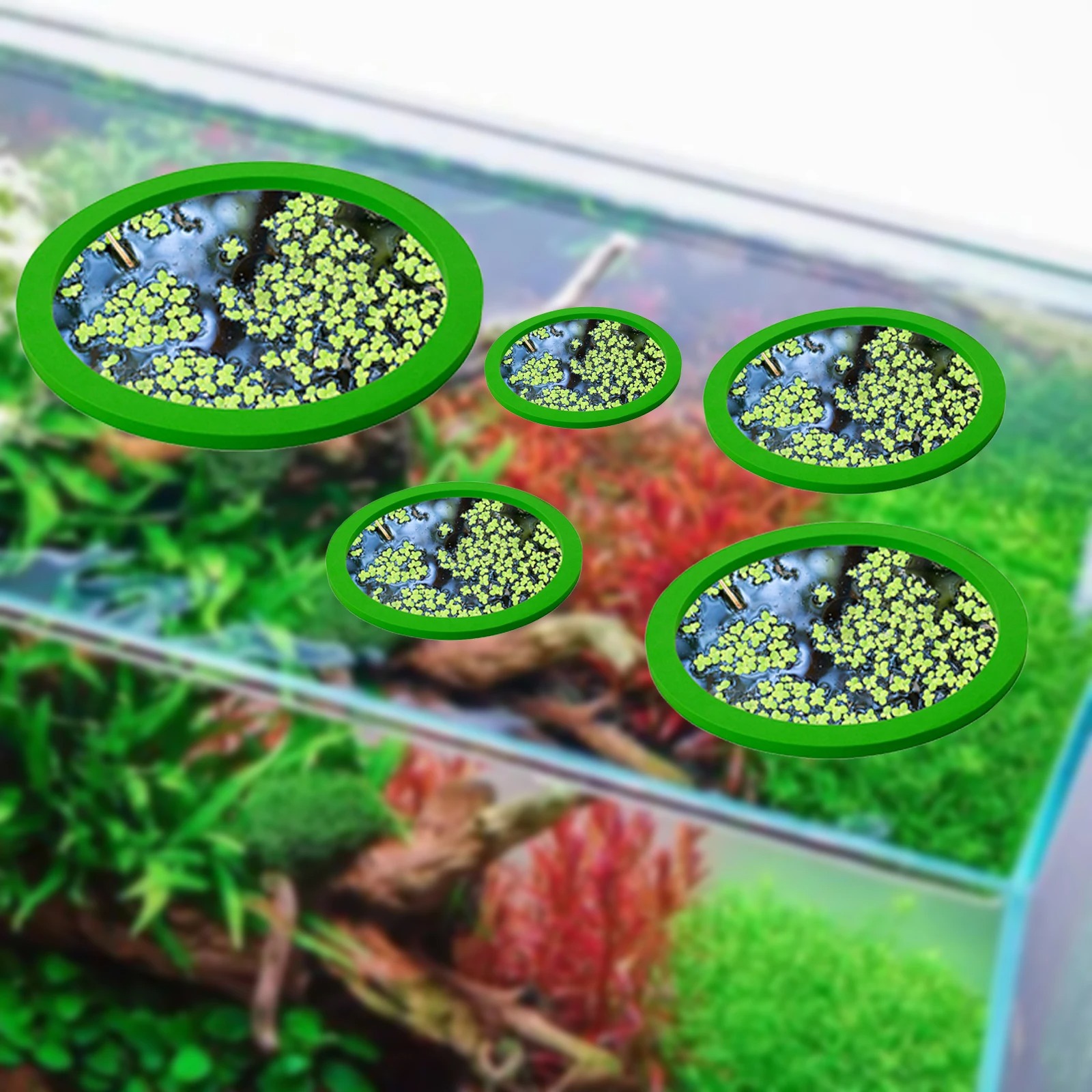 5 pçs eva anel de alimentação  - Aquarium Plants avaliação e preço