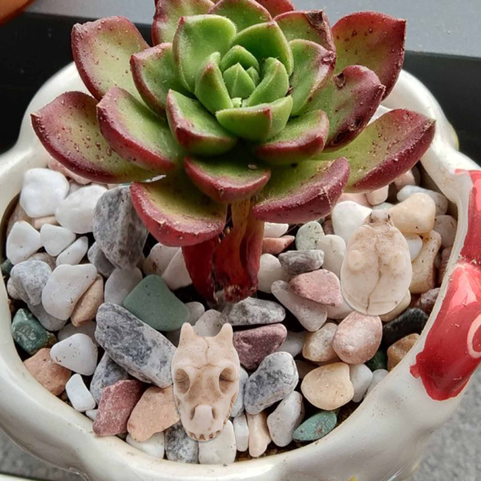 20 Peças Mini Crânio de Dragão - Aquarium Decor avaliação e preço