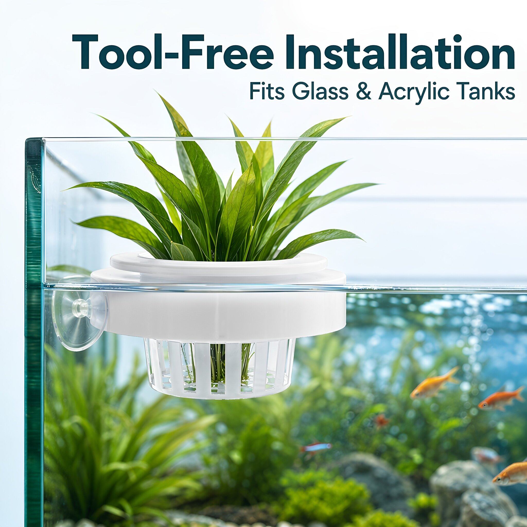 4 unidades de cestos flutuante - Aquarium Plants avaliação e preço