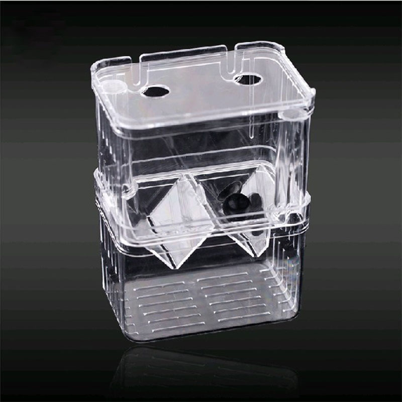 Caixa de isolamento para criaç - Aquarium Fish Betta avaliação e preço